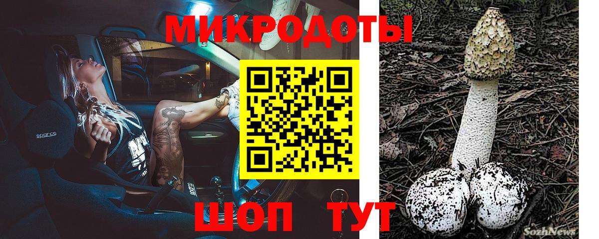Псилоцибиновые грибы мицелий Арсеньев