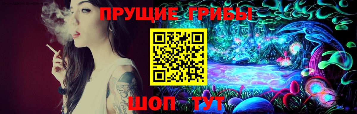 Арсеньев  Псилоцибиновые грибы GOLDEN TEACHER  Вход с VPN 